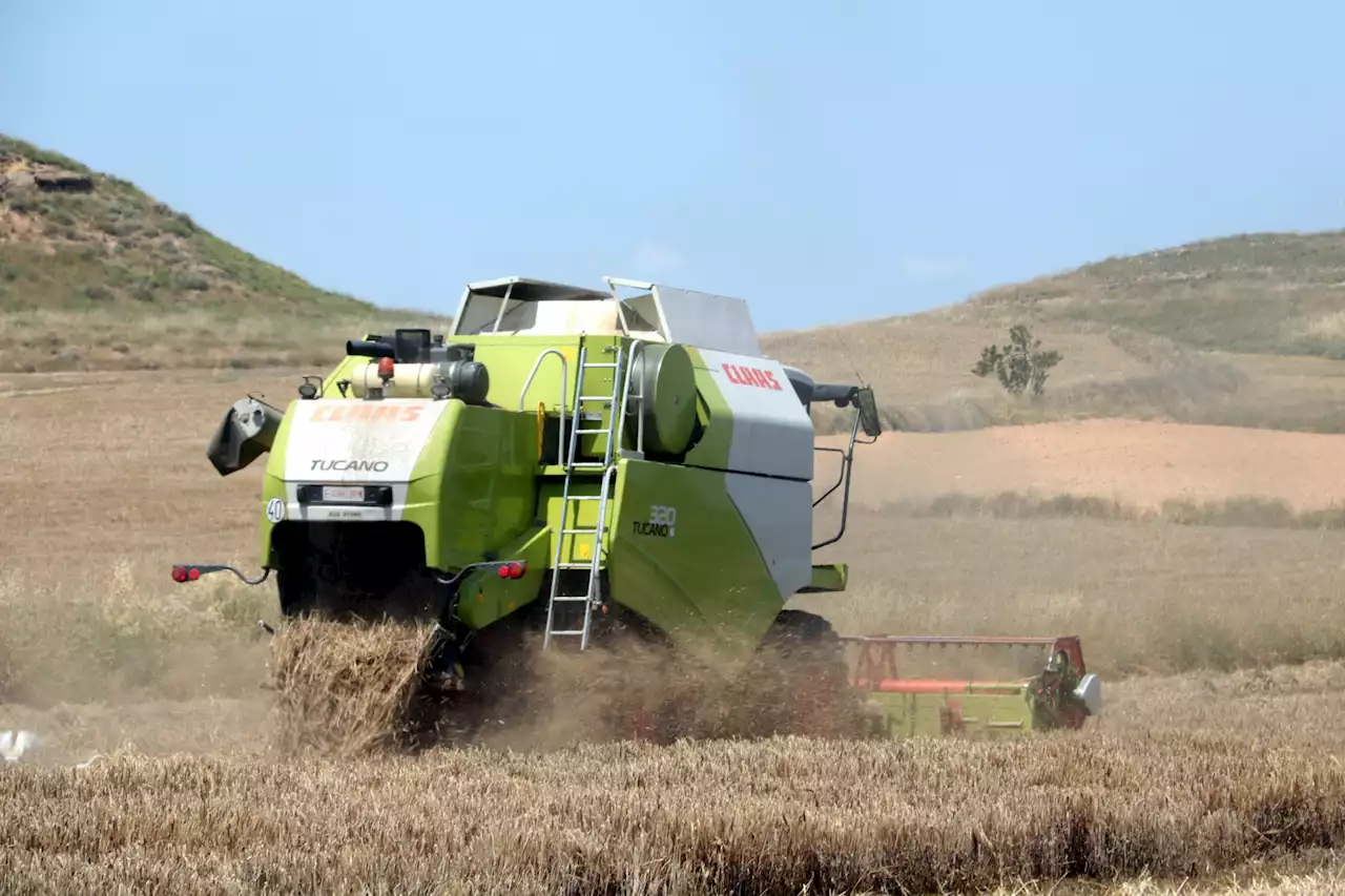 Explotaciones mayores y en menos manos, así evoluciona el censo agrario en Catalunya durante la última década