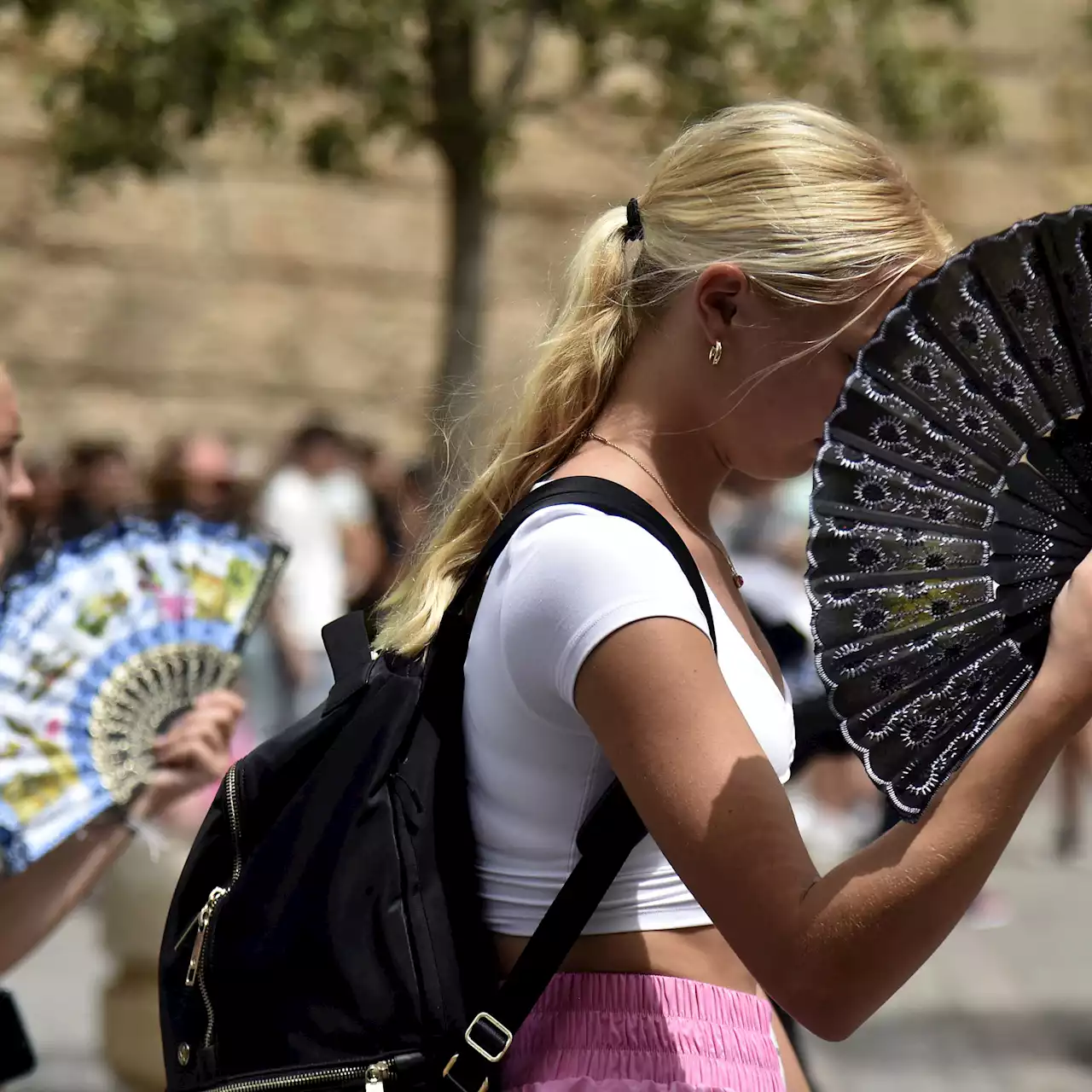 Météo : une vague de chaleur attendue dans le sud-ouest dès ce dimanche