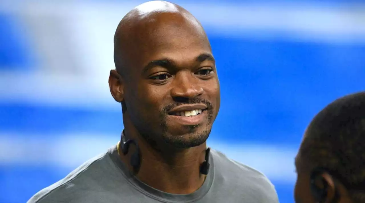 Adrian Peterson vs. Le'Veon Bell Boxing Match Ends With a KO During Fifth Round