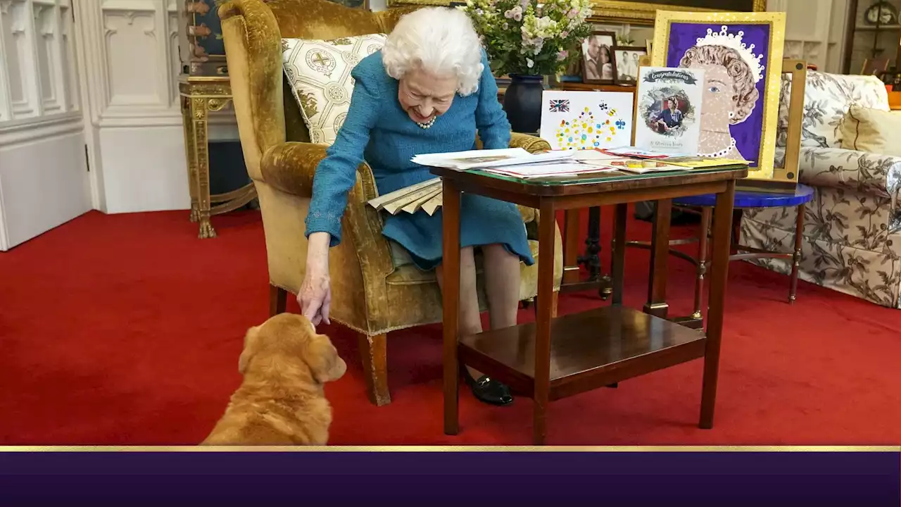 Queen's beloved corgis get new homes