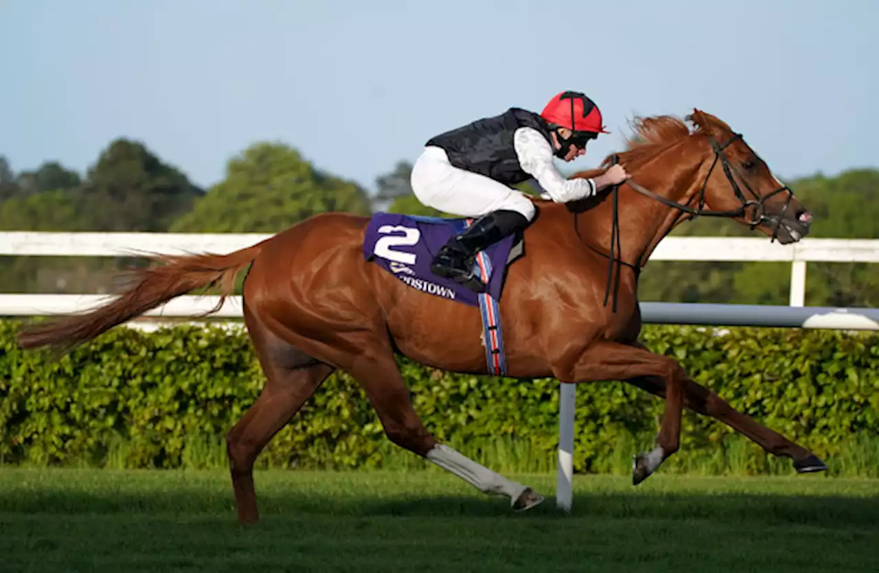 Kyprios makes class count in Irish St Leger