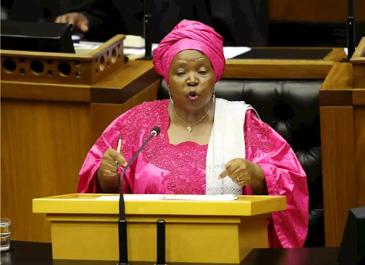 Dlamini-Zuma throws her hat in the ring for ANC top spot, again | The Citizen