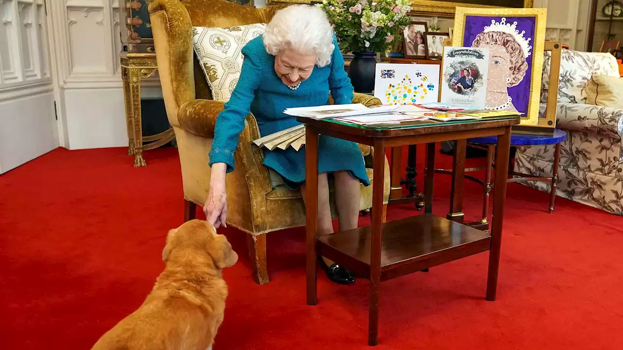 The Queen's beloved corgis and dorgi 'to get a new home with Prince Andrew and Beatrice'