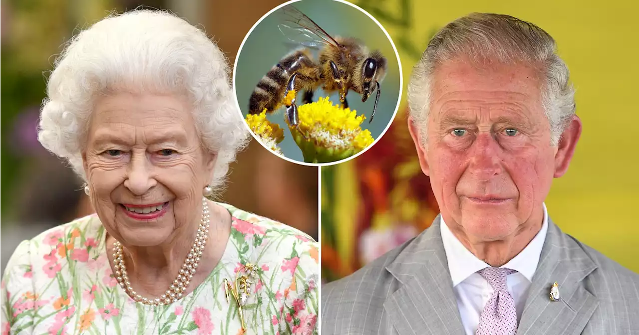 Weird! Why Queen Elizabeth II’s Bees Were Told That Charles Is Now King