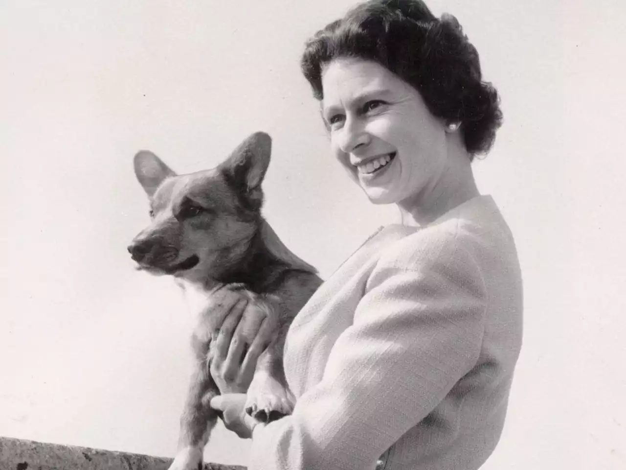 A queen and her corgis: Elizabeth loved breed from childhood