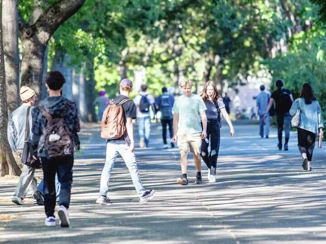 Student numbers lower than expected at University of Victoria