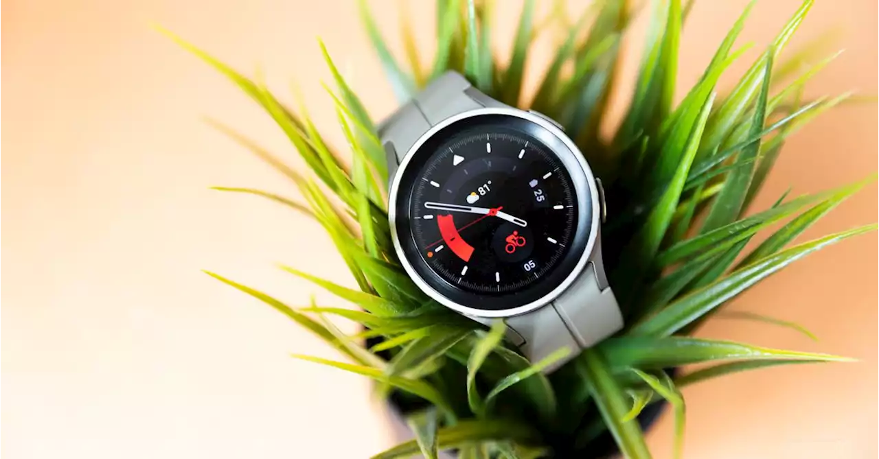 Samsung Galaxy Watch 5 Pro review: sometimes bigger is better