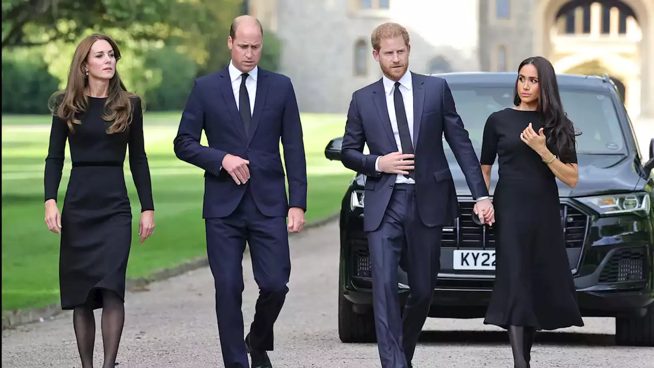 Harry and Meghan appear with William in sign of possible royal rapprochement