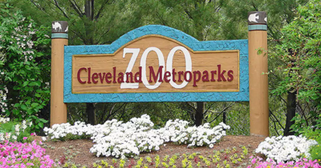 Cleveland Metroparks Zoo celebrates Grandparents Day with free admission Sept. 11