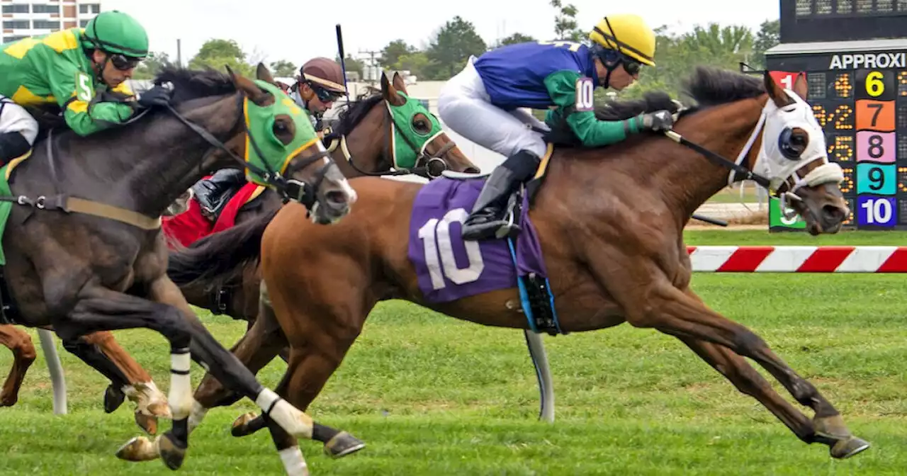 Horse bred by Queen Elizabeth II wins at Pimlico days after she died