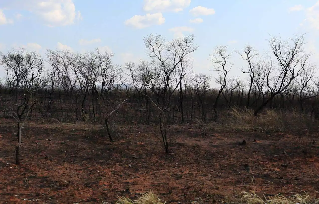 En Bolivie, les hectares brûlés ont triplé en deux semaines