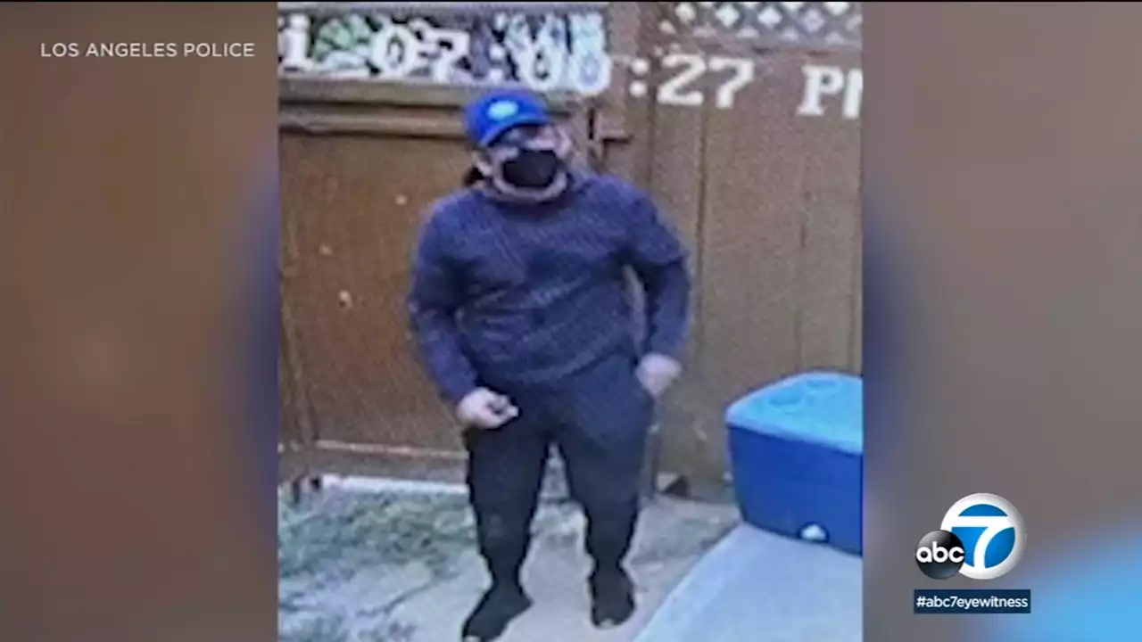 LAPD releases photo of burglary suspect sought in break-in at home of mayoral candidate Karen Bass