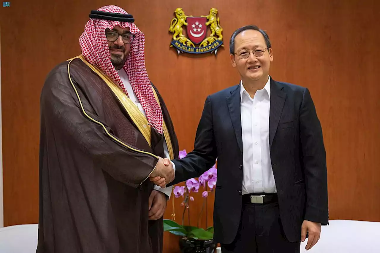 وزير الاقتصاد والتخطيط يلتقي بوزير القوى العاملة السنغافوري