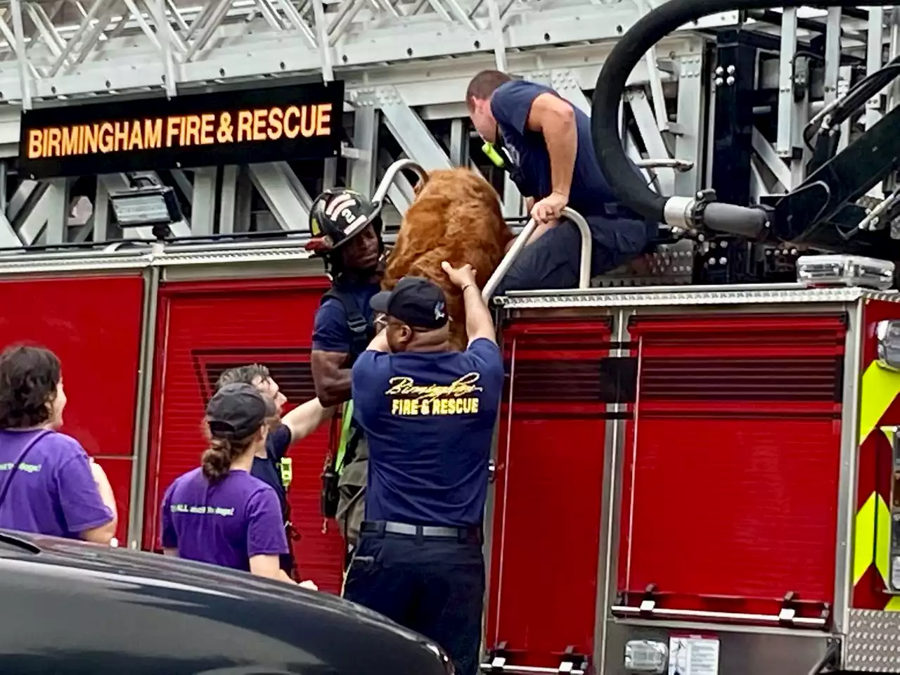 Chemical odor evacuates Dog Days of Birmingham; employees sickened, animals rescued from roof