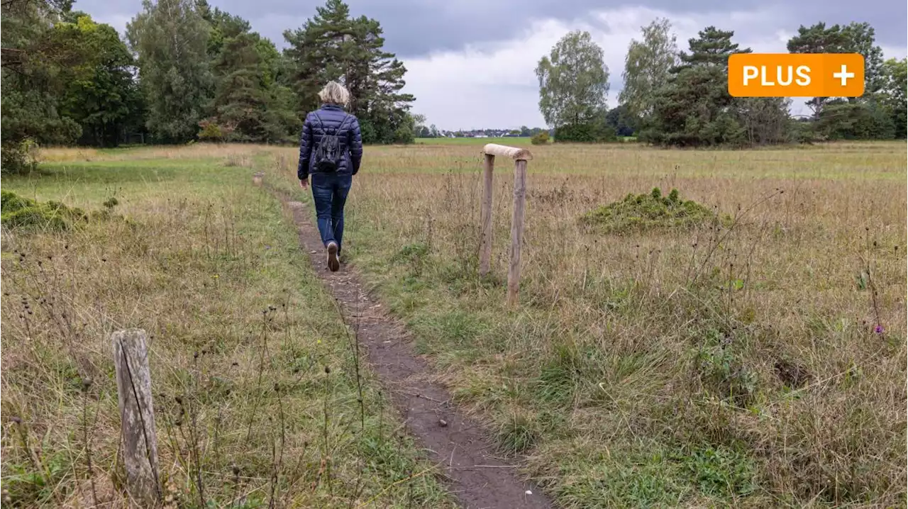 Partys, Trampelpfade, Hunde: Die Stadt will ihre Heiden besser schützen