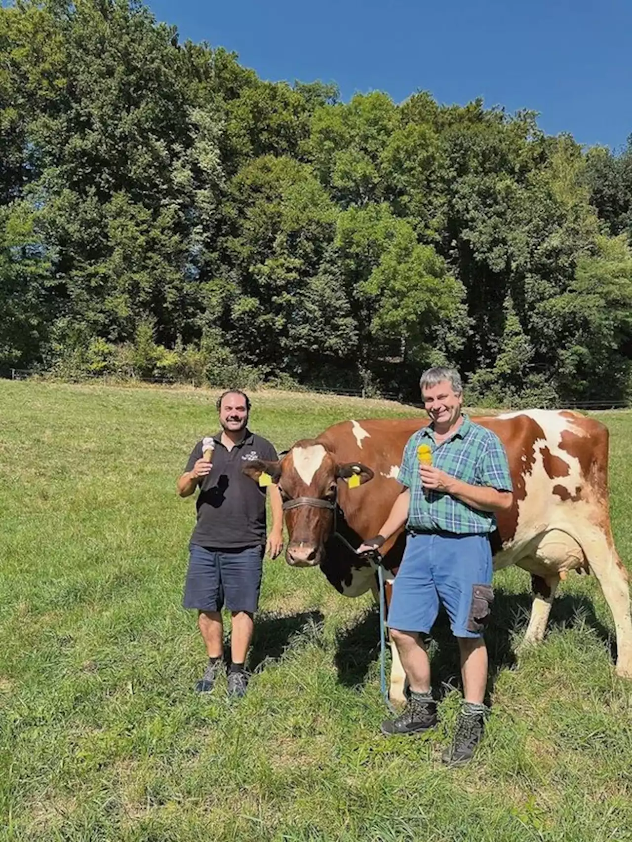 Liebegger Milch wird zum eiskalten Genuss - bauernzeitung.ch