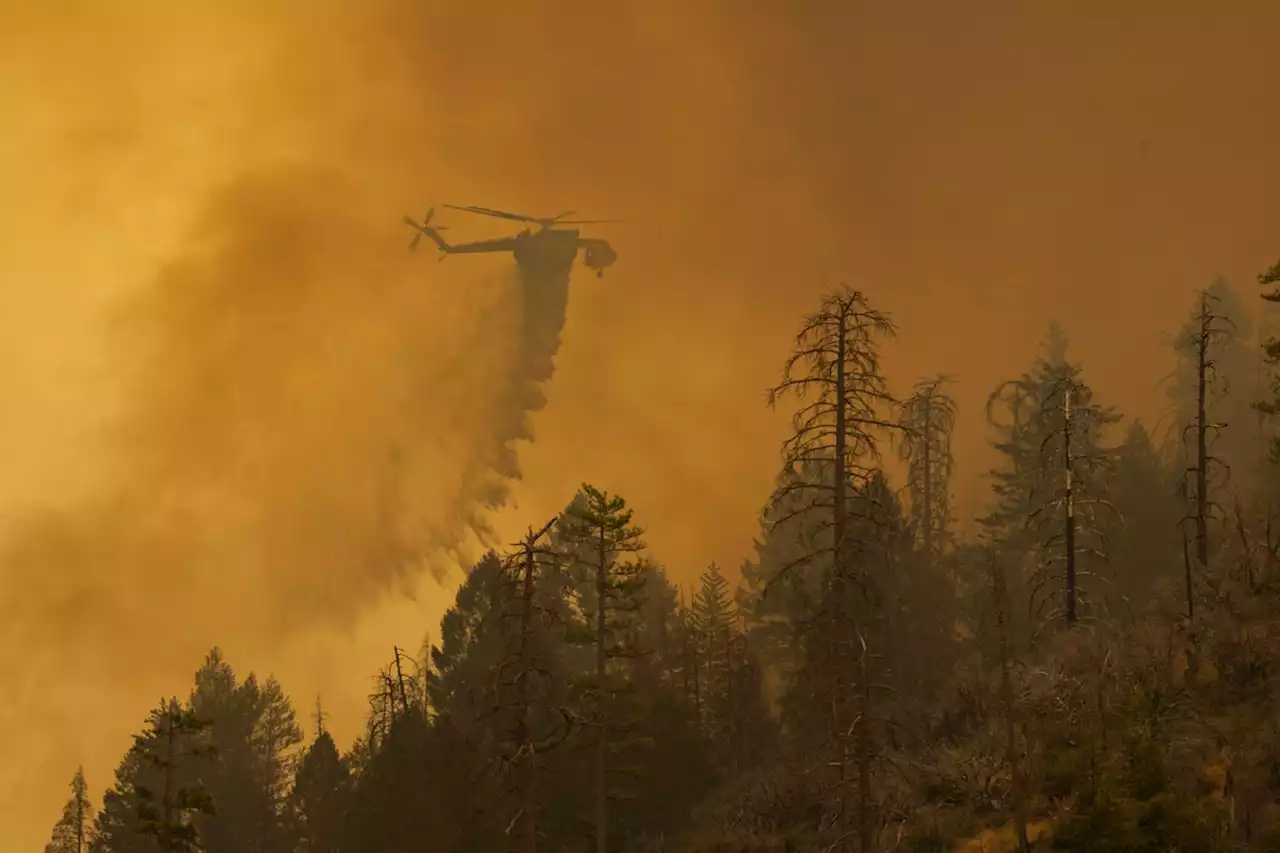 Waldbrand in kalifornischer Sierra Nevada – drei Städte evakuiert