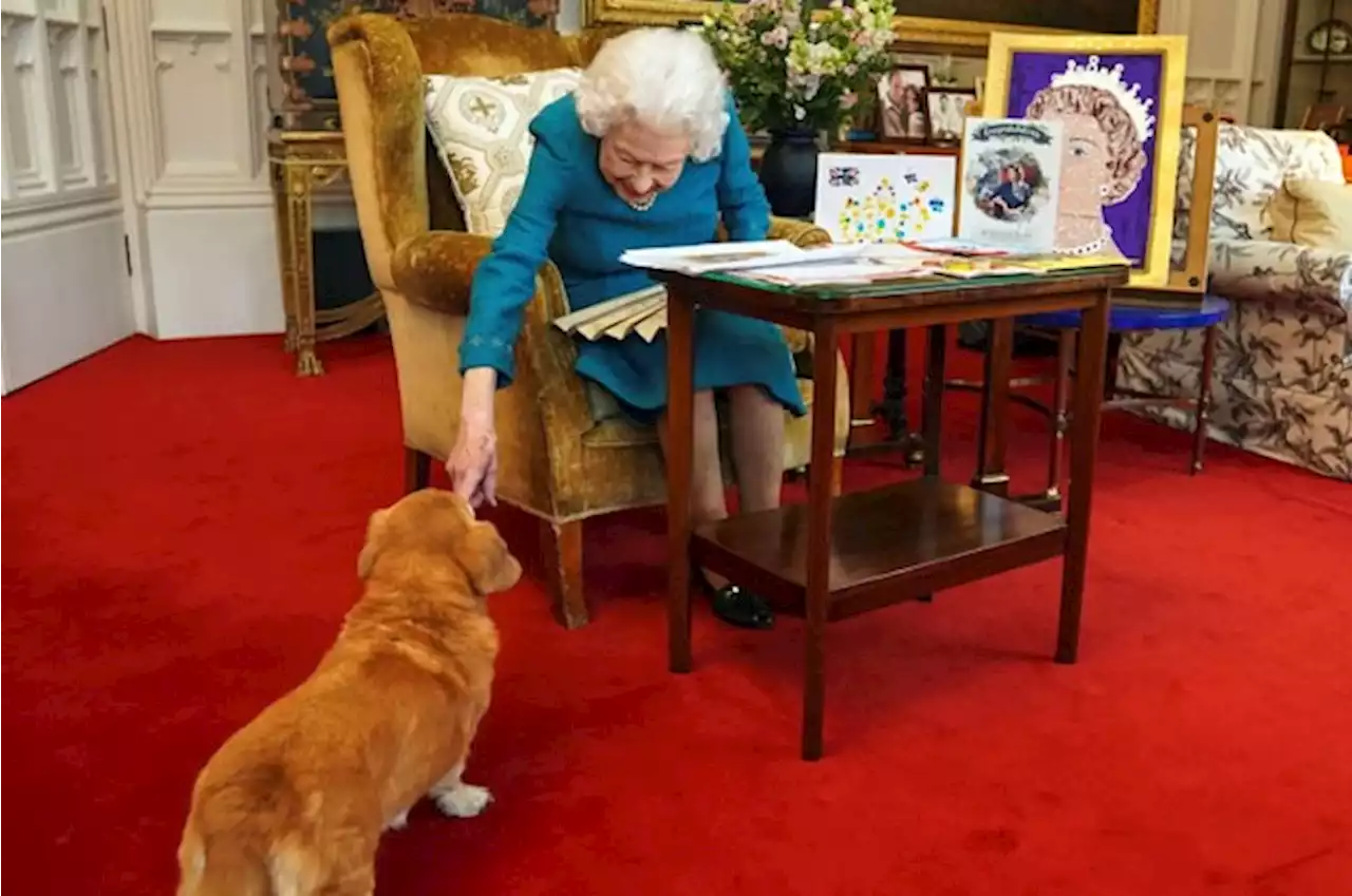 The Queen's Corgis Will Be Taken Care Of By Prince Andrew And Sarah, Duchess Of York