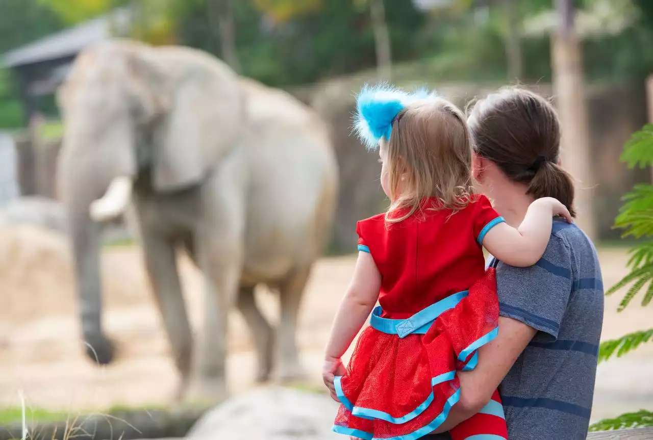 Trick-or-Treat Fest returns to Cleveland Zoo beginning Oct. 7