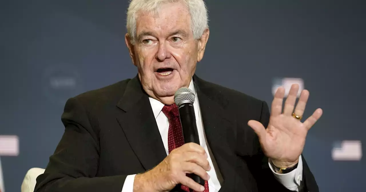 Here are the issues Newt Gingrich says are crucial to GOP midterm victory