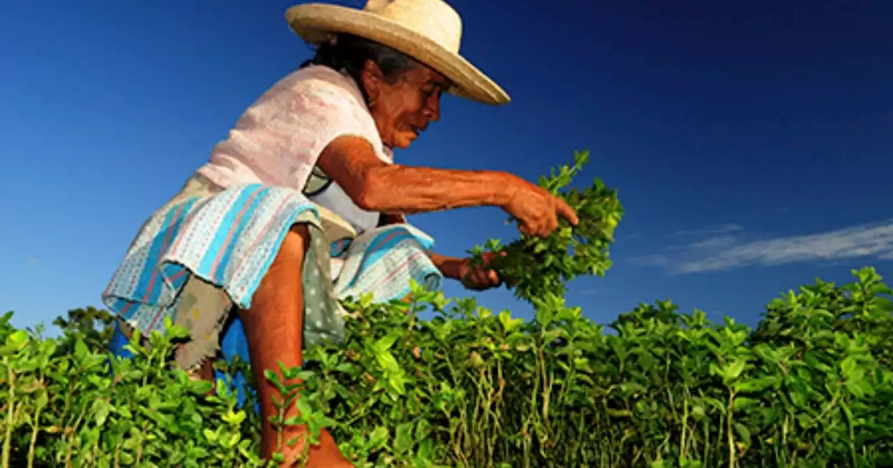 Sader baja 20% la meta de productores que podría recibir apoyo para 2023 en programa prioritario