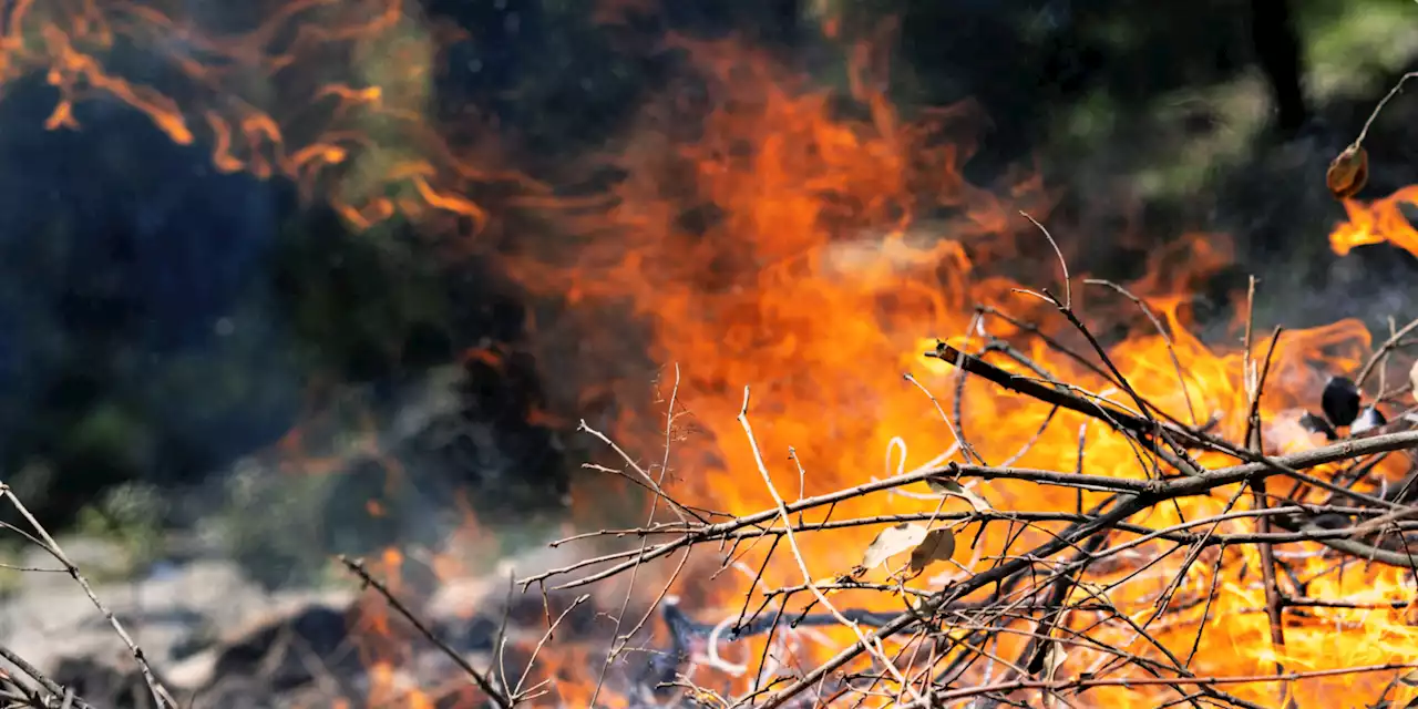 Gironde : un incendie parcourt au moins 320 hectares, un bourg évacué