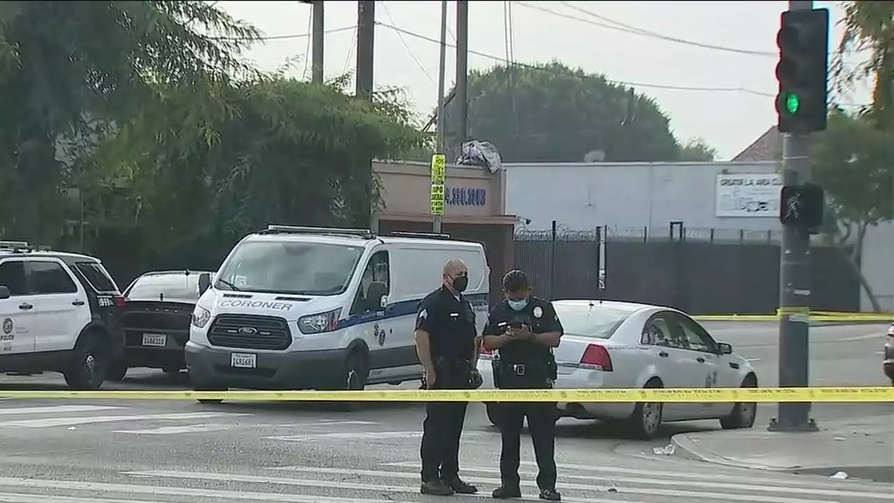 Homicides, robberies up in Los Angeles, survey finds