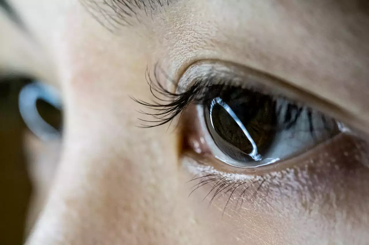 Bionic Eye Patients Are Going Blind Again After Manufacturer Decides They're Obsolete