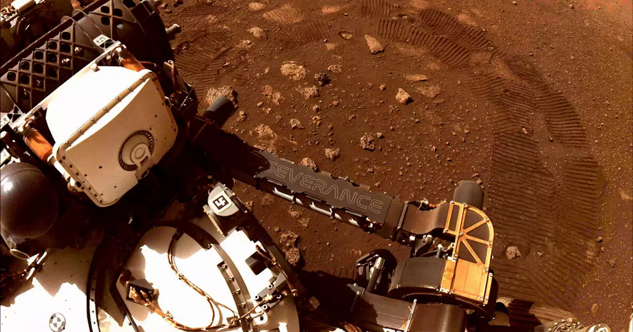 Cornell Scientist: NASA May Have Accidentally Spread Life to Mars