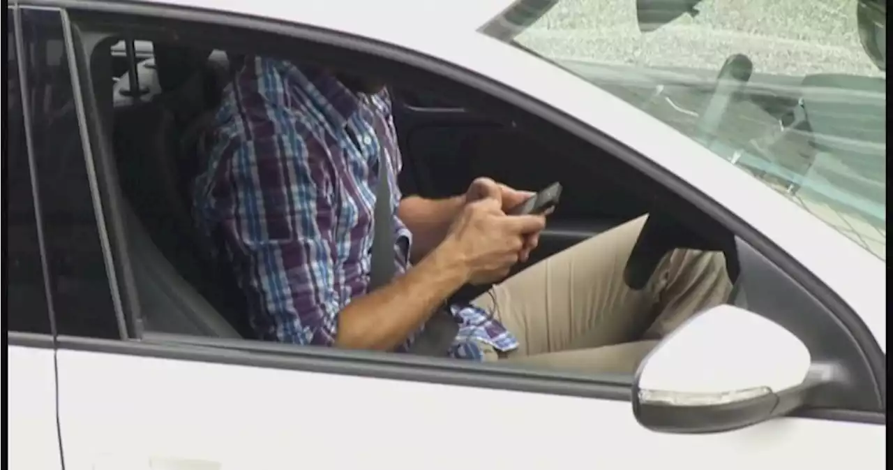 Police boosting efforts to catch distracted drivers in B.C. - Okanagan | Globalnews.ca