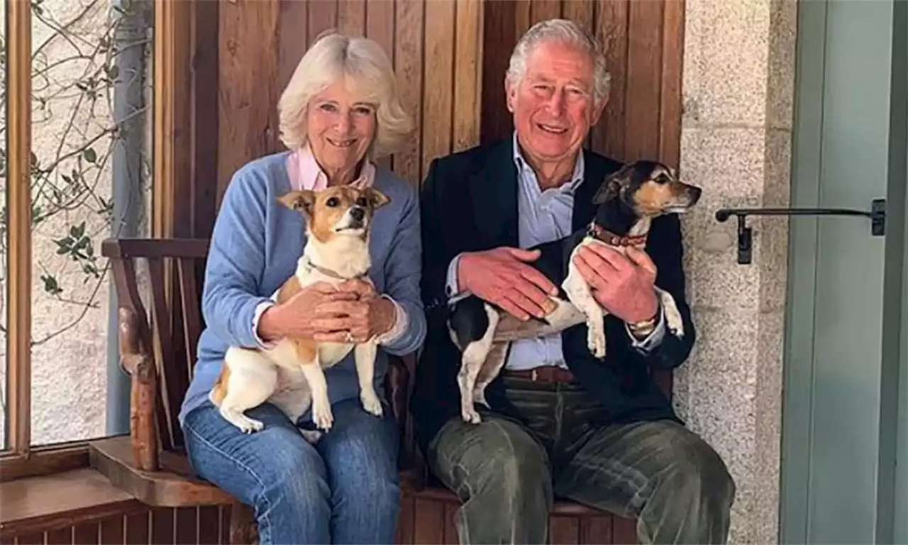 Meet Beth and Bluebell: the new dogs of Buckingham Palace