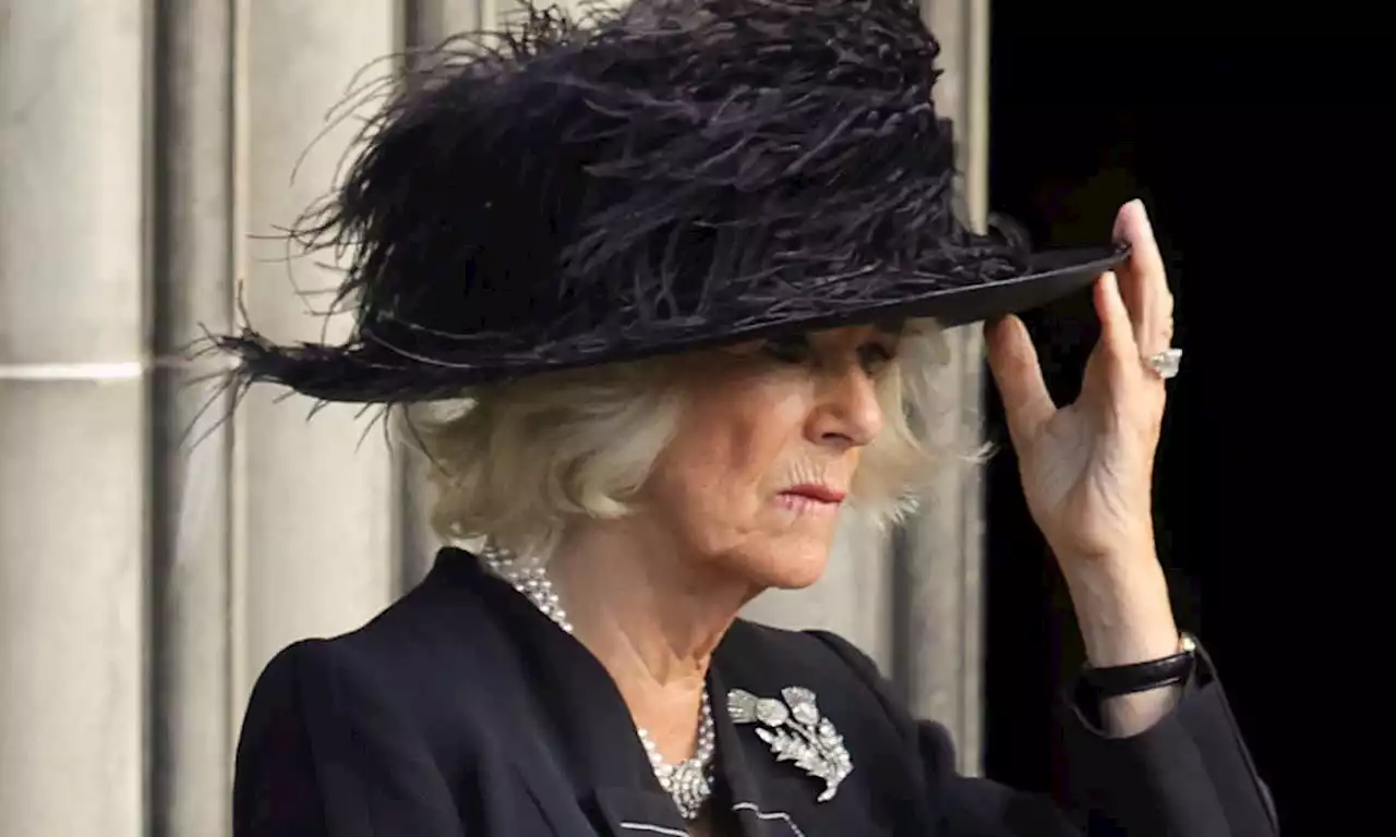 Queen Consort Camilla's subtle nod to late Queen with rare accessory