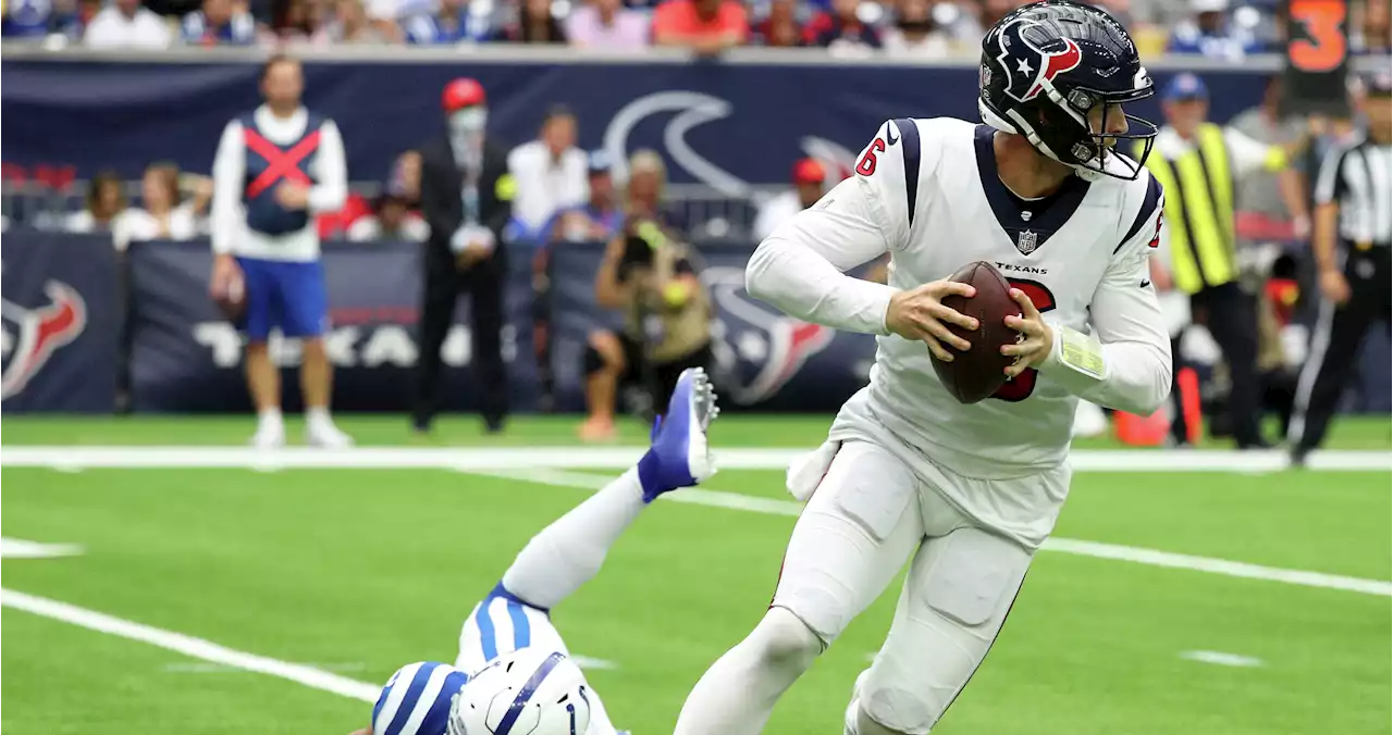 QB Jeff Driskel plays unexpected role in Texans' season opener