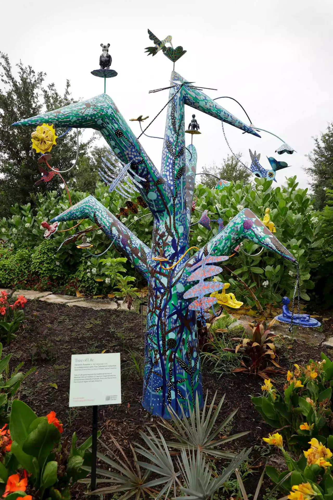 ‘Tree of life’ beguiles at Houston Botanic Garden