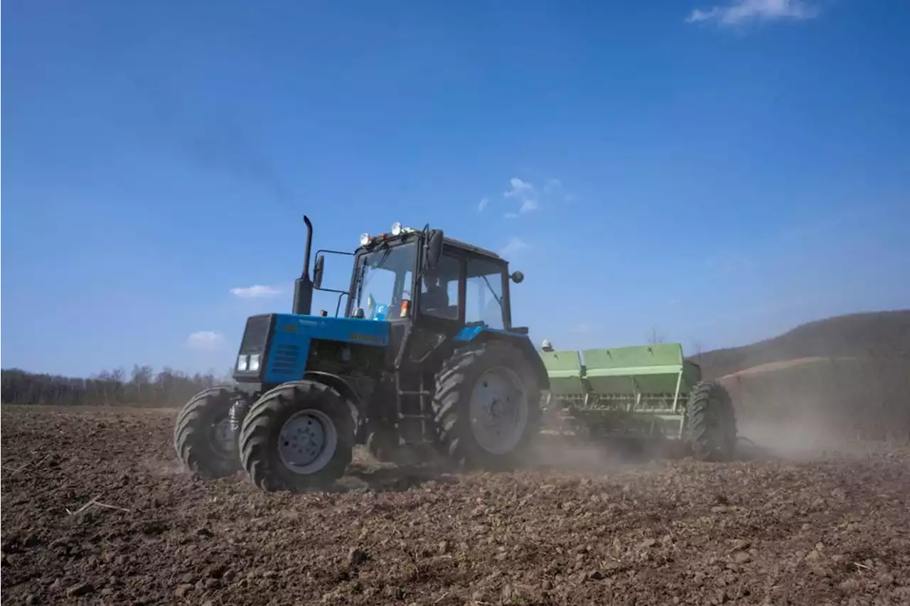 180 Millionen Euro: Landwirte bekommen Hilfsgelder wegen hoher Energiepreise - idowa