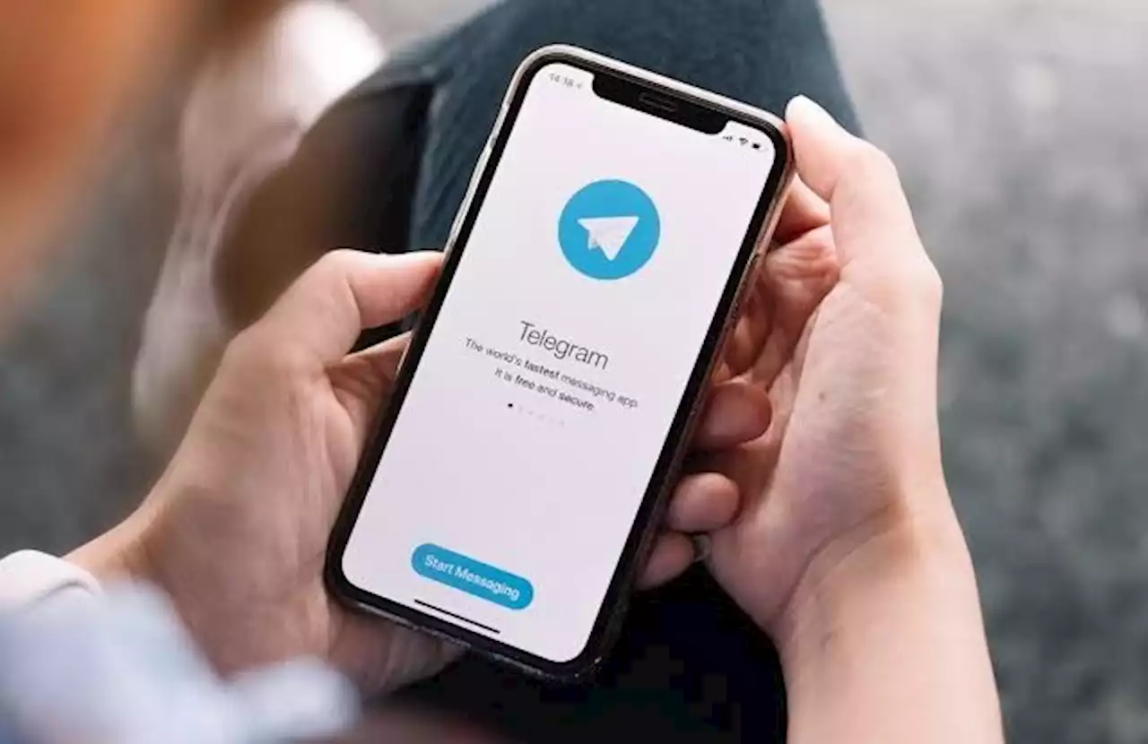 Akun Twitter Di-Suspend, Bjorka Posting Data Luhut di Telegram