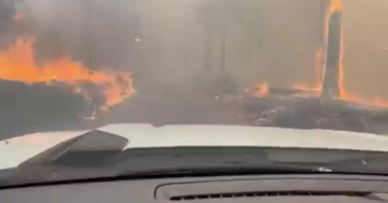 Elderly couple rescued from wildfire after their car became disabled