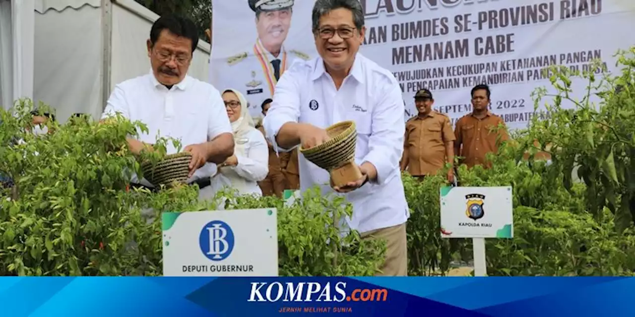 Inflasi 'Volatile Food' Semakin Turun, Ini Langkah Strategis BI dan TPID Riau