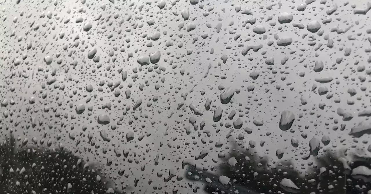 Record rainfall recorded in Campo, more rain expected Monday