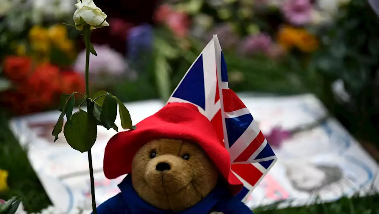 Hommage à Elizabeth II : les Londoniens n'ont plus le droit de déposer des sandwiches et des peluches Paddington