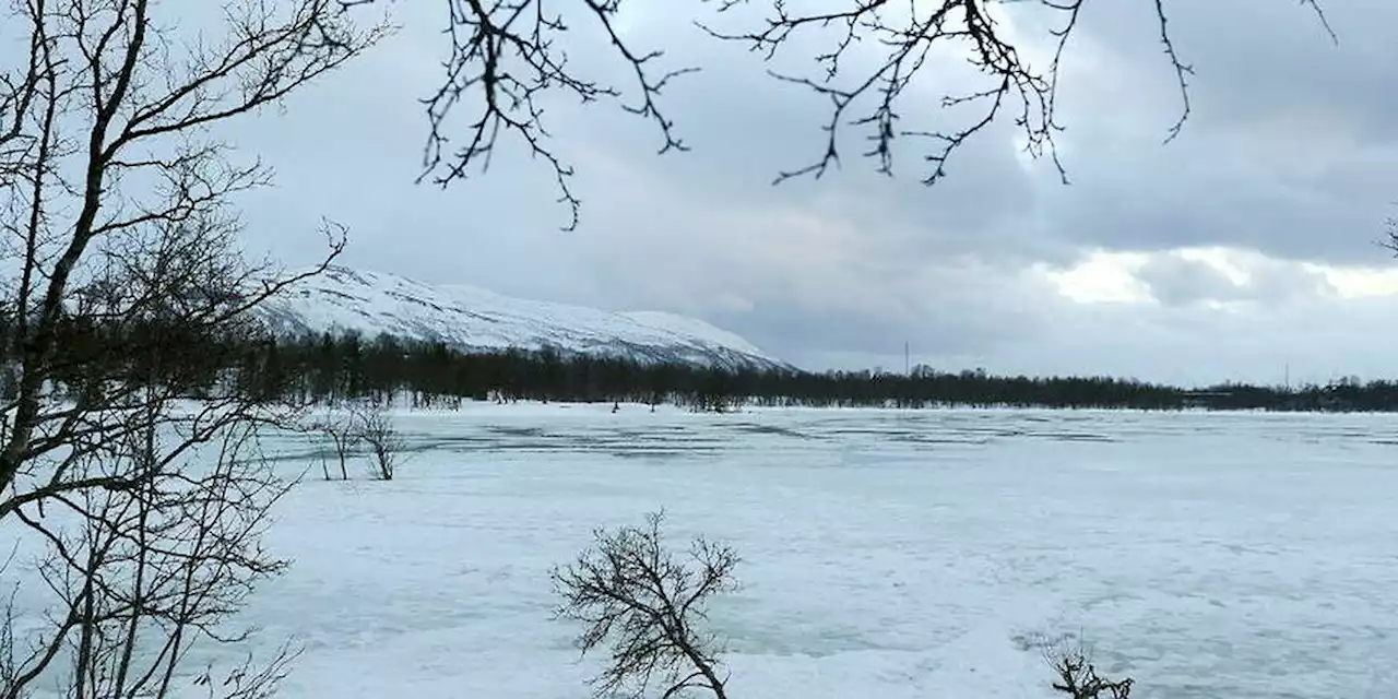 Arctique : des virus géants retrouvés dans un lac