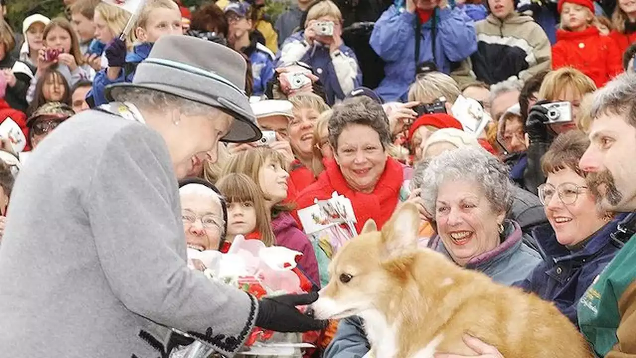 Top 3 Berita Hari Ini: Anjing Corgi Ratu Elizabeth II Bakal Dipelihara Pangeran Andrew dan Fergie