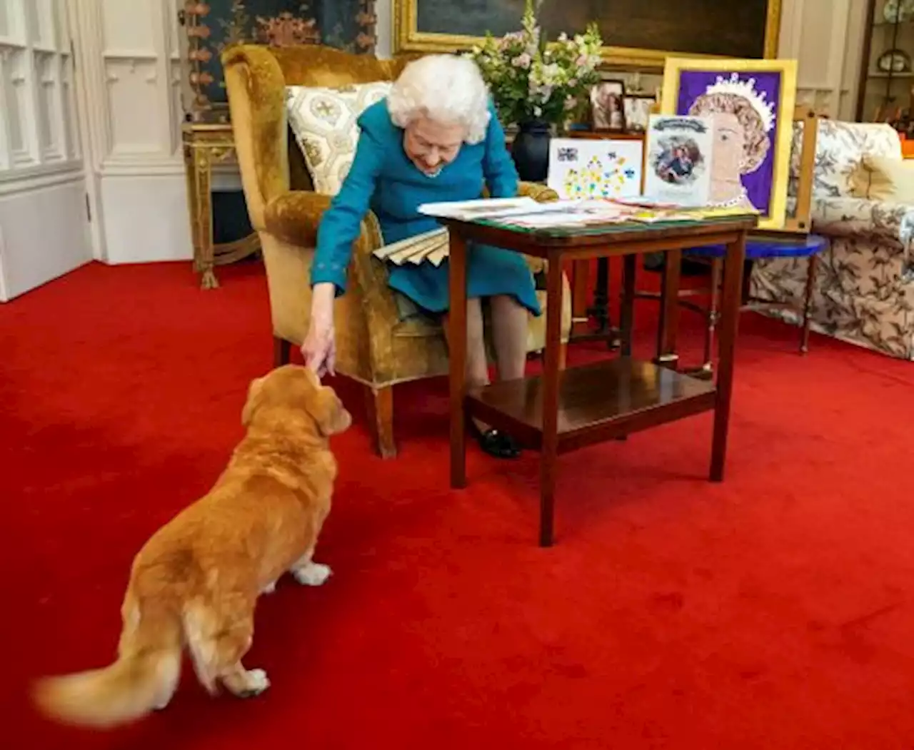 Anjing-Anjing Corgi Ratu Elizabeth II akan Dirawat Pangeran Andrew