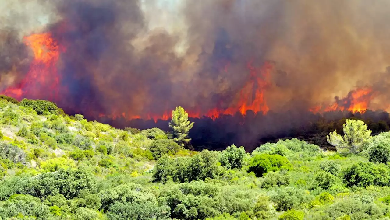 [VIDEO] Incendie en Gironde : un village entier évacué après trois départs de feux simultanés près de Bordeaux