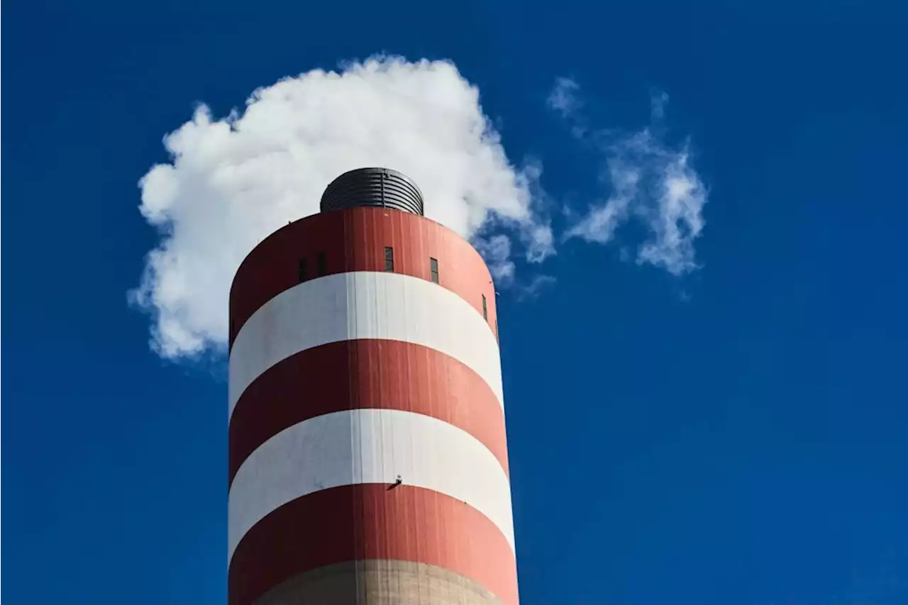 Eskom’s maintenance work not yielding results: Oberholzer