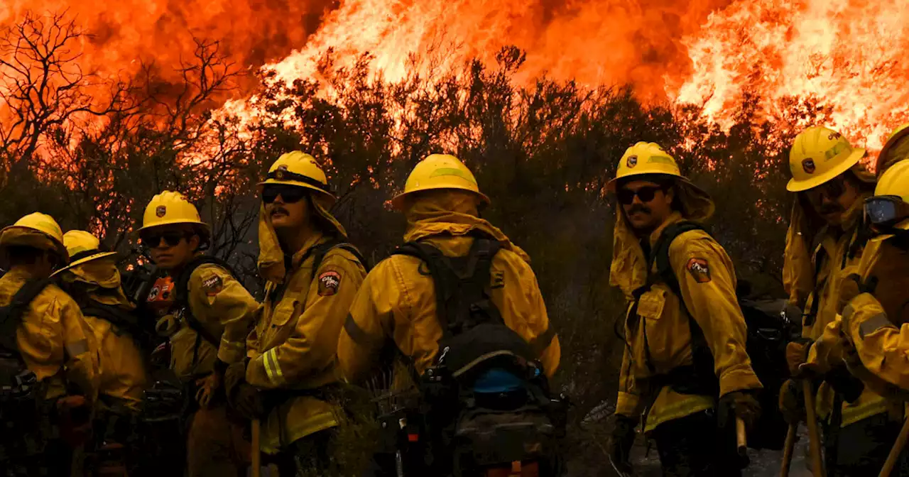 Firefighters battle 11 major California wildfires including Mosquito and Fairview