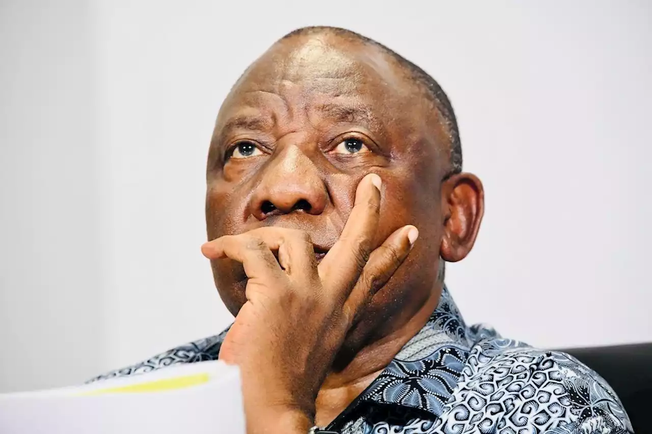 South Africa still has a way to go in fulfilling Steve Biko's vision, says Ramaphosa | News24