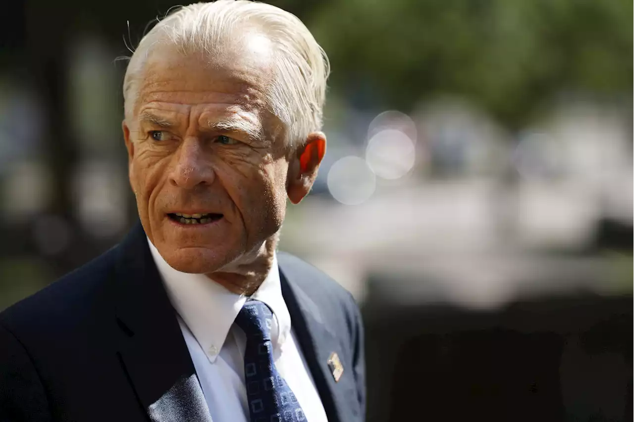 Trump Loyalist Peter Navarro slams 'thievery' of White House documents