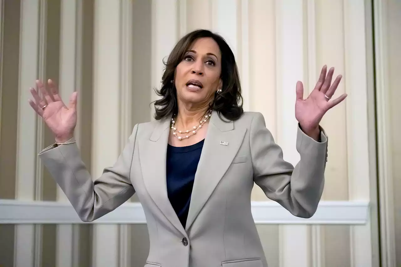 Kamala Harris insists border ‘secure’ as illegal migrants set to pass 2M