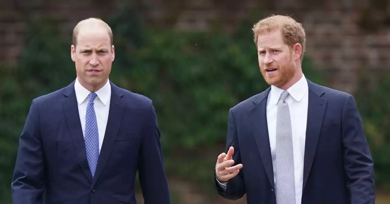 William and Harry 'could walk side-by-side' at Queen's funeral in show of unity